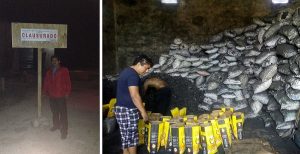 Asegura PROFEPA 126.4 toneladas de carbón vegetal en el municipio de Conkal, Yucatán