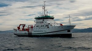 Iniciará INAPESCA investigación en Sonda de Campeche para determinar potencial pesquero