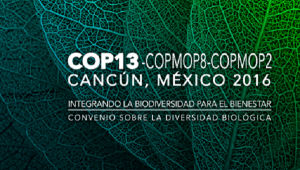 Algo grande ocurrirá en México a favor del planeta COP13