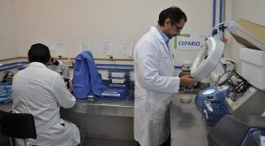 Más de 69 mil pruebas realizadas en el laboratorio estatal de salud pública en Campeche