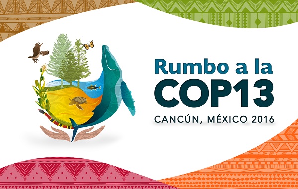 cop13 cancun 2016