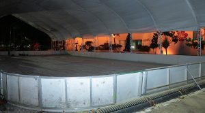 Movilizará Centro habitantes por colonia para visitar pista de hielo: Gaudiano