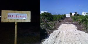 Clausura PROFEPA 4 predios en Yucatán por cambio de uso de suelo en ecosistema costero no autorizo Semarnat