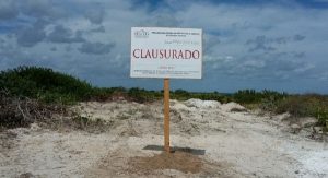 Clausura PROFEPA predio por cambio de uso de suelo en terreno forestal sin autorización, en Yucatán