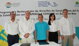 Celebra Laura Fernández el inicio del programa de restructuración de arrecifes de coral
