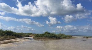Ayuntamiento de Isla Mujeres pide la Protección del Ecosistema de la Laguna Chacmuchuch