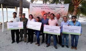 SEMARNAT Campeche entrega recursos para beneficio de campamentos tortugeros