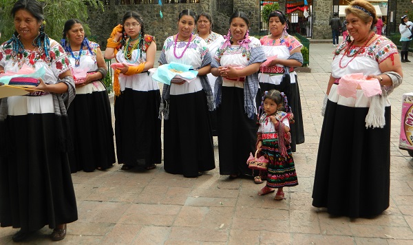 pueblos-indigenas-cdmex