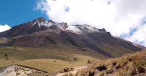 Programa de Manejo en Nevado de Toluca incrementará superficie arbolada