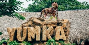 Celebra Yumká, 29 Aniversario de ser declarado Área Natural Protegida