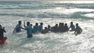 Rescata PROFEPA 3 delfines varados en playa de zona hotelera de Cancún 