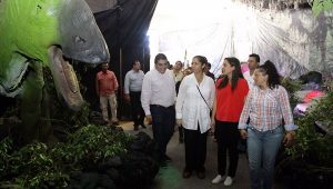 “Dinosauria Animatronix” se presenta en el Centro Navideño, por primera vez en Villahermosa