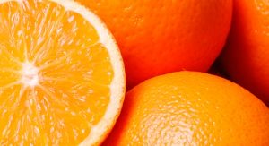 La naranja el cítrico más popular, protección de invierno