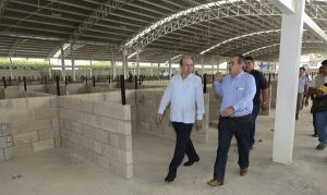 Al 98 por ciento, instalaciones provisionales del mercado “Pino Suárez” en Tabasco