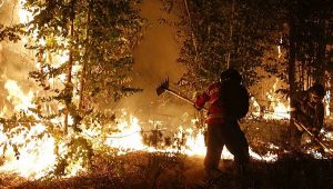 Anuncia México apoyo a Chile para enfrentar Incendios Forestales