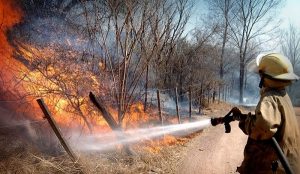 Controla CONAFOR primer incendio forestal en Hopelchén