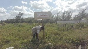 Clausura PROFEPA dos predios en Yucatán por cambio de uso de suelo Costero sin autorización