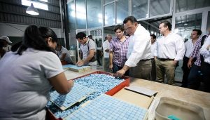 Acelerado crecimiento de oportunidades de empleo en Yucatán