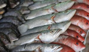 Garantiza SAGARPA abasto de productos del mar durante la Cuaresma 2017