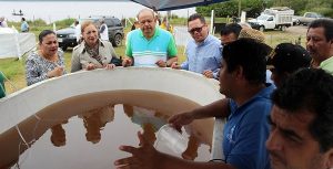 Respalda SEDAFOP actividad camaronícola en Cárdenas