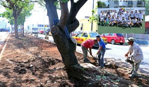 Avanzan trabajos de adecuación vial en la avenida César Sandino