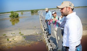 Restaura CONAFOR 5 mil 414 hectáreas de mangle en Campeche