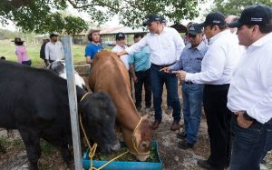 Nuevo modelo sustentable para el campo en Yucatán