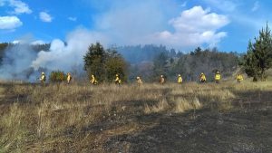 Incendios forestales, 90 por ciento provocados por el hombre
