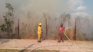 Atiende Bomberos de Benito Juárez incendio en predio del Malecón Tajamar