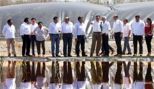 Granjas porcícolas reducen contaminación en Yucatán