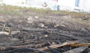 Incendio en malecón Tajamar fue imprudencial: PROFEPA