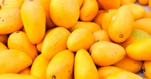 Jugoso y sabroso, así es el mango mexicano