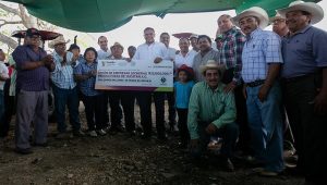 Producción lechera en Yucatán, va en la ruta correcta