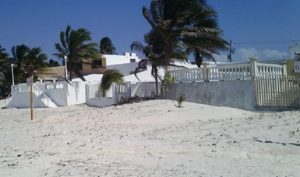 Clausura PROFEPA obras y remoción de vegetación costera en Progreso, Yucatán