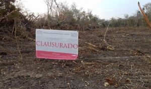 Clausura PROFEPA tres predios en terrenos forestales sin autorización en Bacalar Quintana Roo