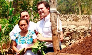 Huertos de traspatio en Yucatán generan ganancias