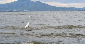 Conoces cuál es el lago más grande de México