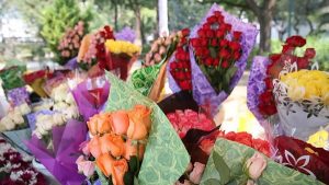 Garantiza SAGARPA abasto de flores para este 10 de mayo