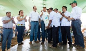 Futuro promisorio para la actividad lechera en Yucatán