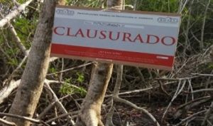 Clausura PROFEPA predio por afectación de manglar en Puerto Aventuras, Quintana Roo