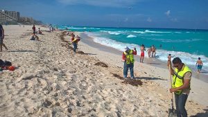 Playas limpias en Cancún para estas vacaciones de verano 2017