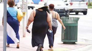 La obesidad es causante de hígado graso