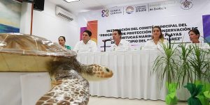 Remberto Estrada consolida políticas públicas en favor de los recursos naturales