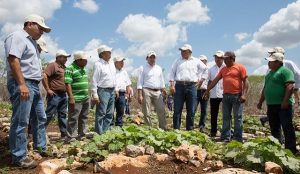 Peso a Peso, cuatro años impulsando el desarrollo de los productores de Yucatán