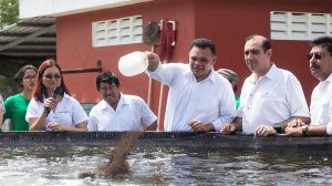 Se impulsa en Yucatán la producción acuícola