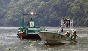 Diariamente se mantienen trabajos de limpieza en el Cañón del Sumidero: PC