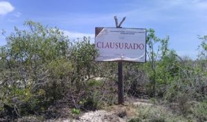 Clausura PROFEPA dos predios en zona de humedales en la reserva “El Palmar” en Yucatán