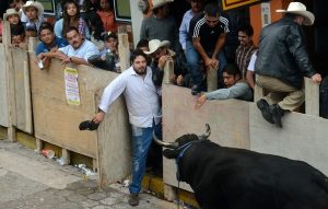 Soltarán 18 toros de lidia en las fiestas de María Magdalena en Xico, Veracruz