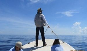 Constata PROFEPA cumplimiento en zona de avistamiento de Tiburón Ballena en Quintana Roo