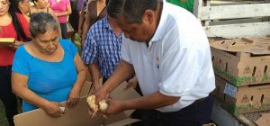 Fortalece Gobierno de Tabasco economía familiar de traspatio en Los Ríos
